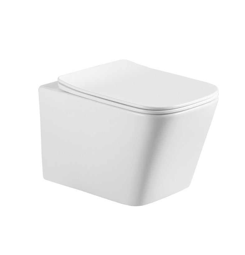 Toilette WC suspendu