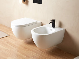 SANYCCES ARC WC SUSPENDU