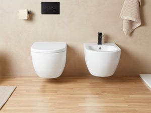 SANYCCES ARC WC SUSPENDU