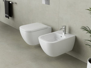 SANYCCES QUARC WC SUSPENDU